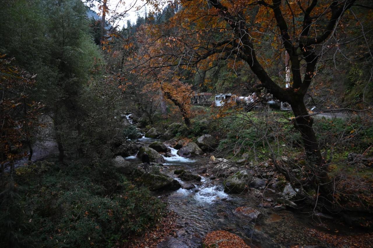 Mozo Inn&Cafe Jibhi Banjār 외부 사진